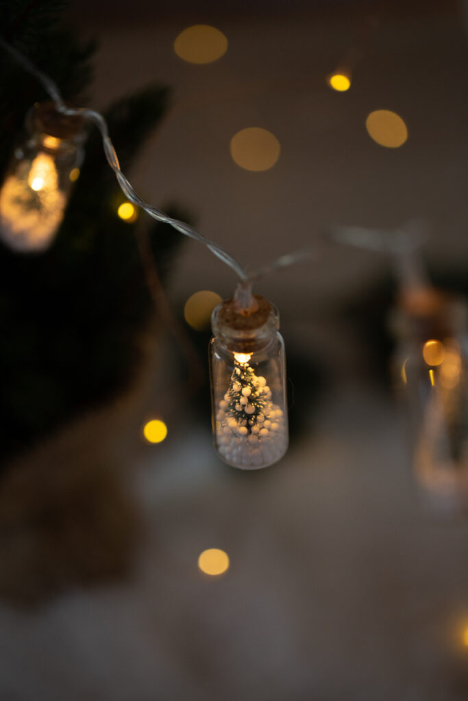 Weihnachtsdeko im Glas selber machen - DIY Lichterkette mit Tannenbäumen