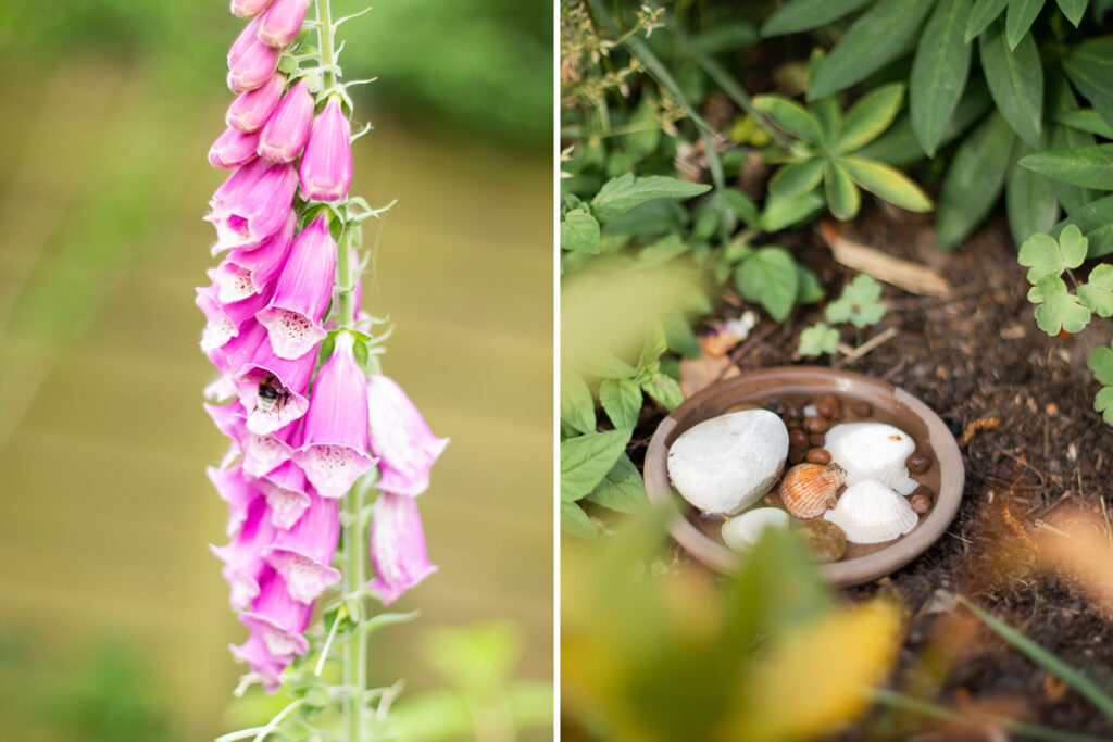 Bienentränke Blume – Set Mit 5 Bechern & Blütenteller, Harz, Für Bienen, Hummeln & Schmetterlinge, Für Balkon & Garten