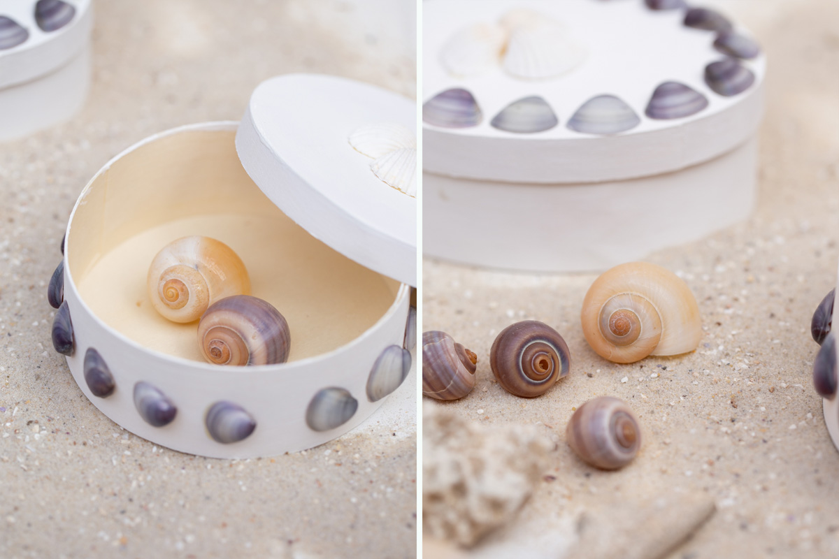 Basteln Mit Muscheln Maritime DIY Boxen Mit Muscheln DIY Blog Do basteln-mit-muscheln-maritime-diy-boxen-mit-muscheln-diy-blog-do