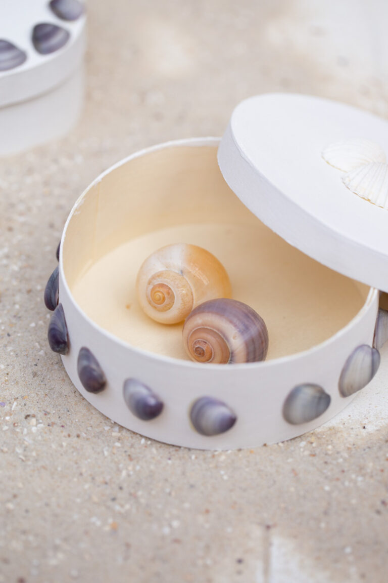 10 Muschel-Süßigkeitenboxen Aus Kunststoff – Himmelblau, 9,1x7,7x4,5 Cm, Für Party-Geschenke