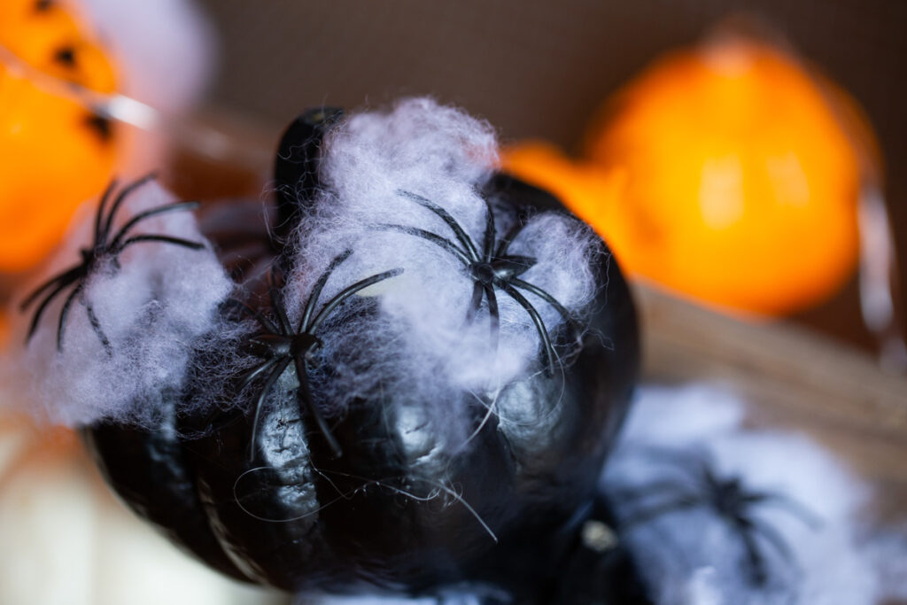DIY Halloween Kürbis Dekoration mit Spinnen
