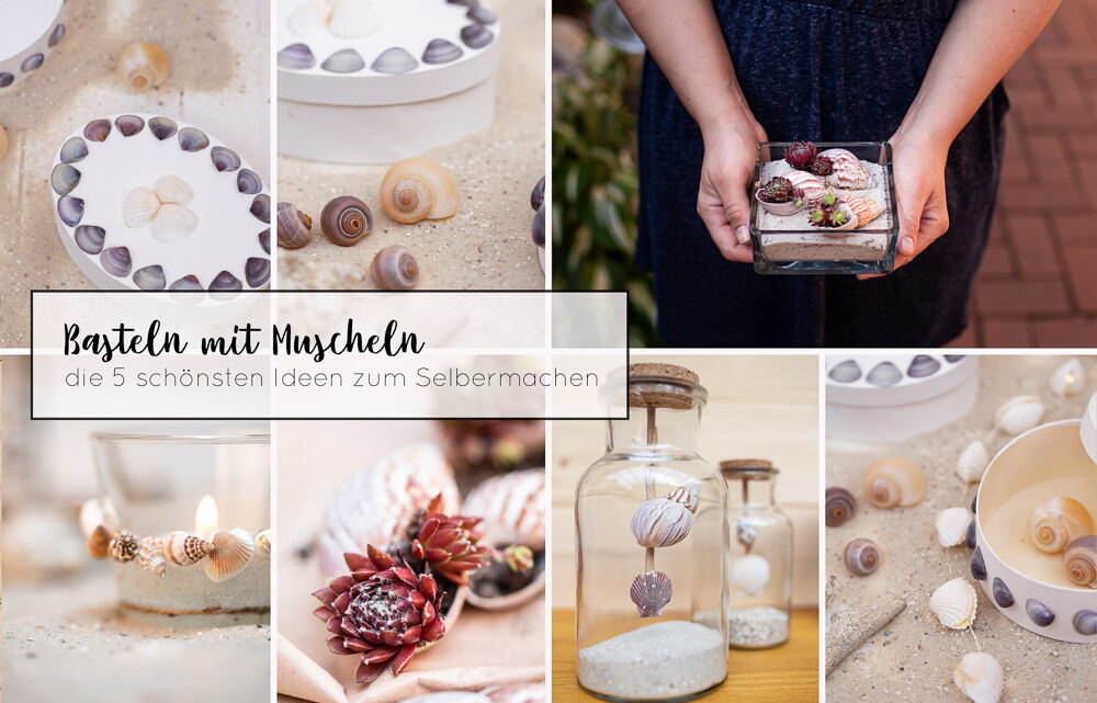 Basteln mit Muscheln – die 5 schönsten DIY Ideen