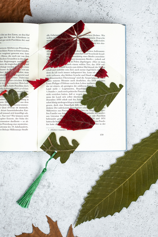 DIY Lesezeichen mit Herbstblätter basteln