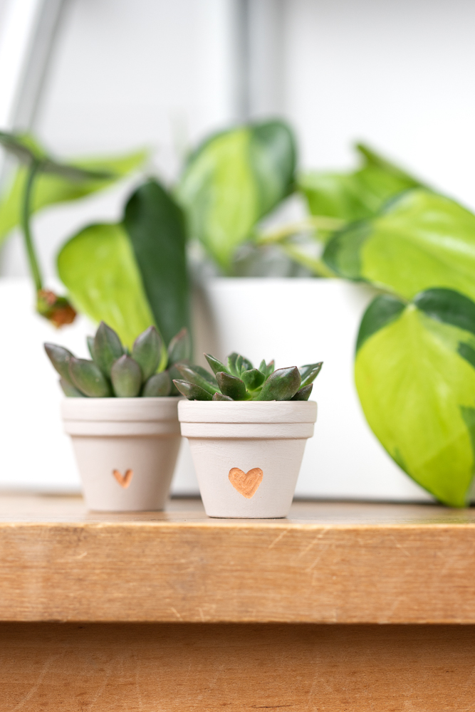 Einen Blumentopf gravieren - DIY Geschenkidee für Pflanzenfreunde