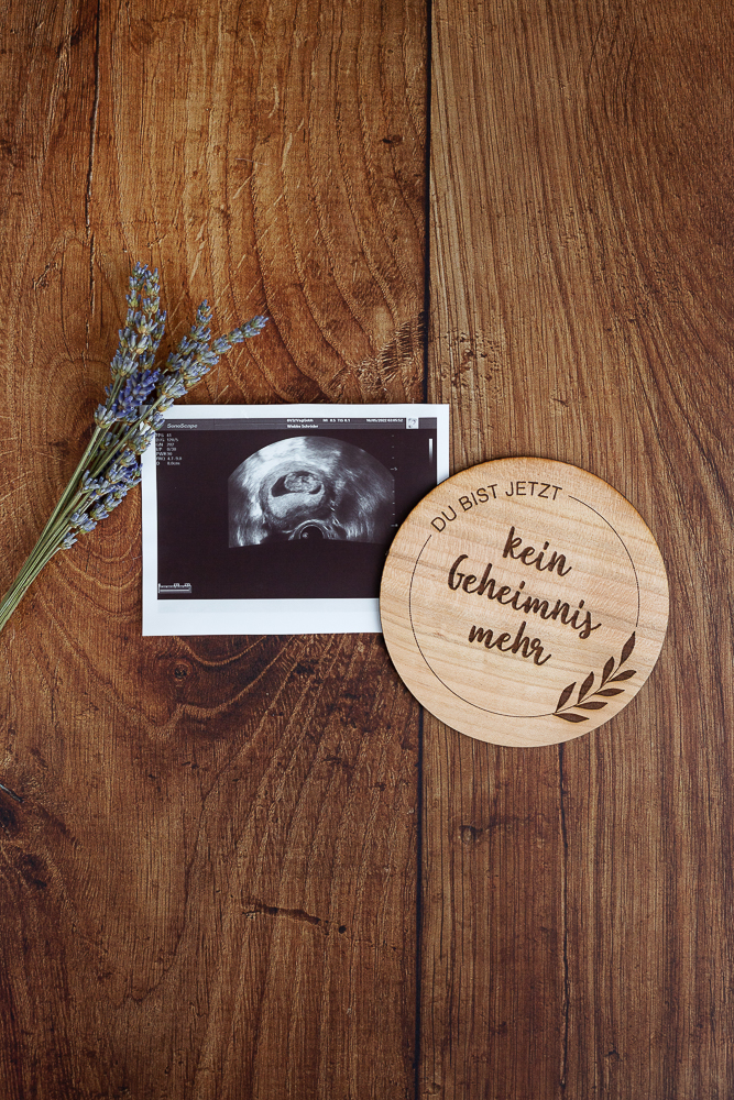 DIY Meilensteinkarten Schwangerschaft aus Holz selber machen